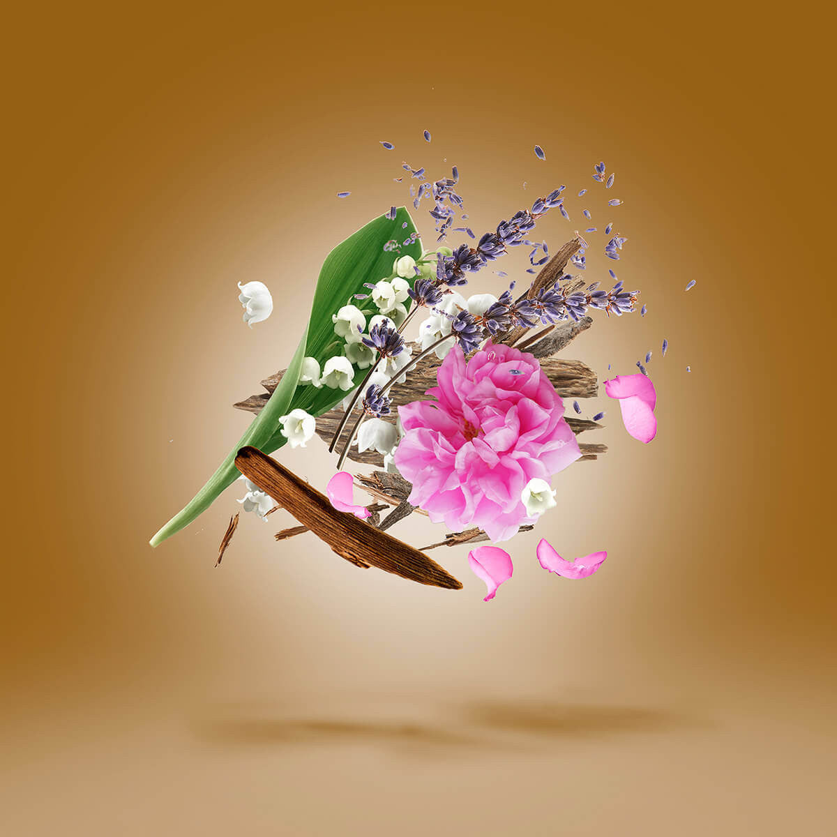 Xerjoff - Alexandria II