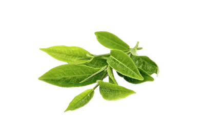 Ingredient Image