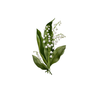 Ingredient Image