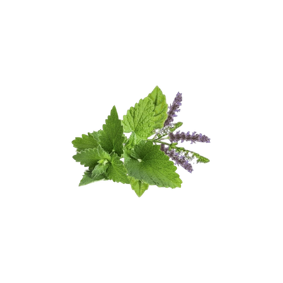 Ingredient Image
