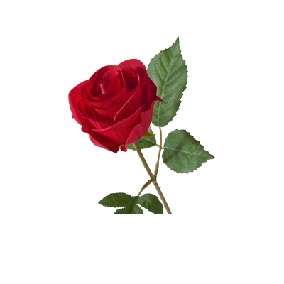 Ingredient Image