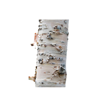 Ingredient Image