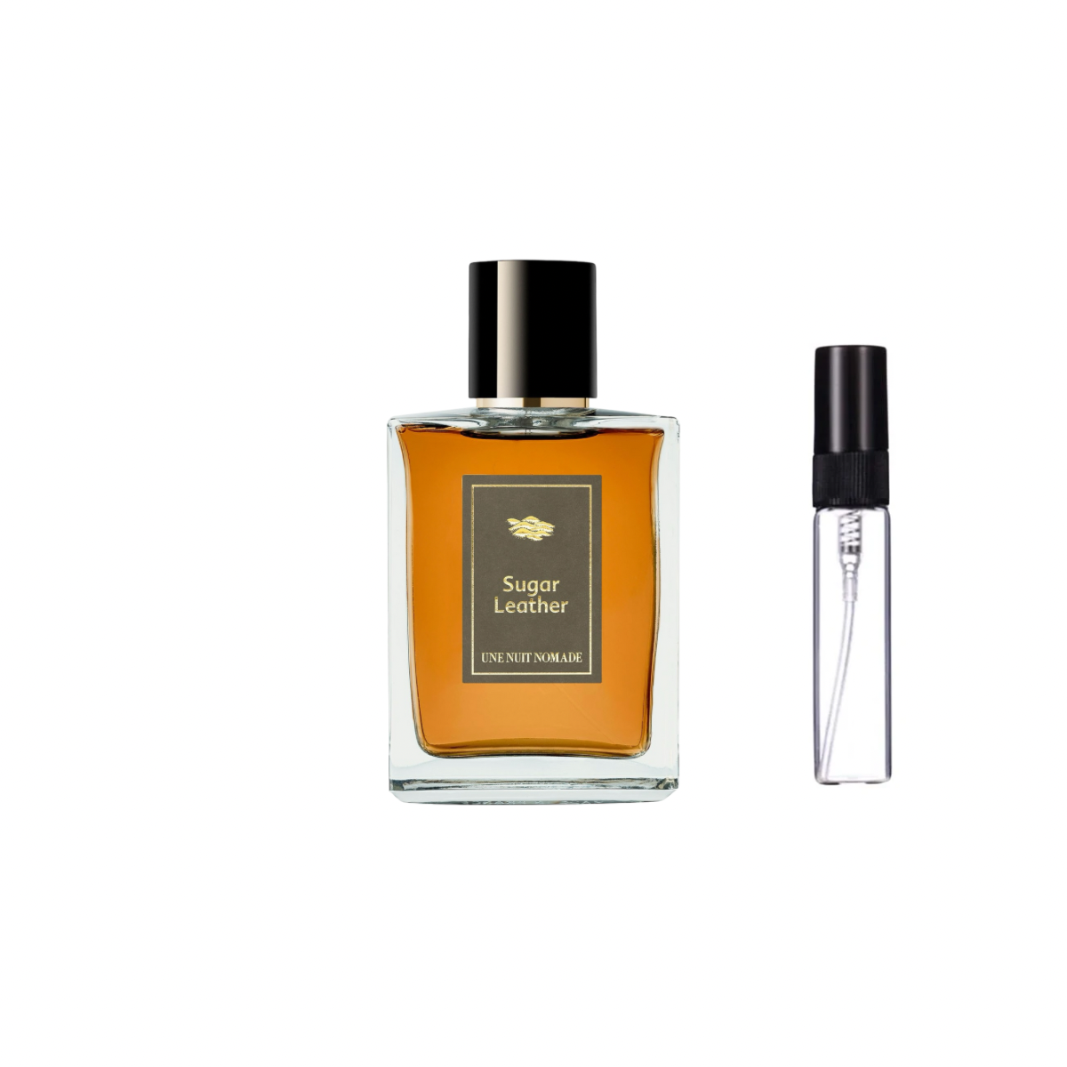 Sugar Leather - Une Nuit Nomade