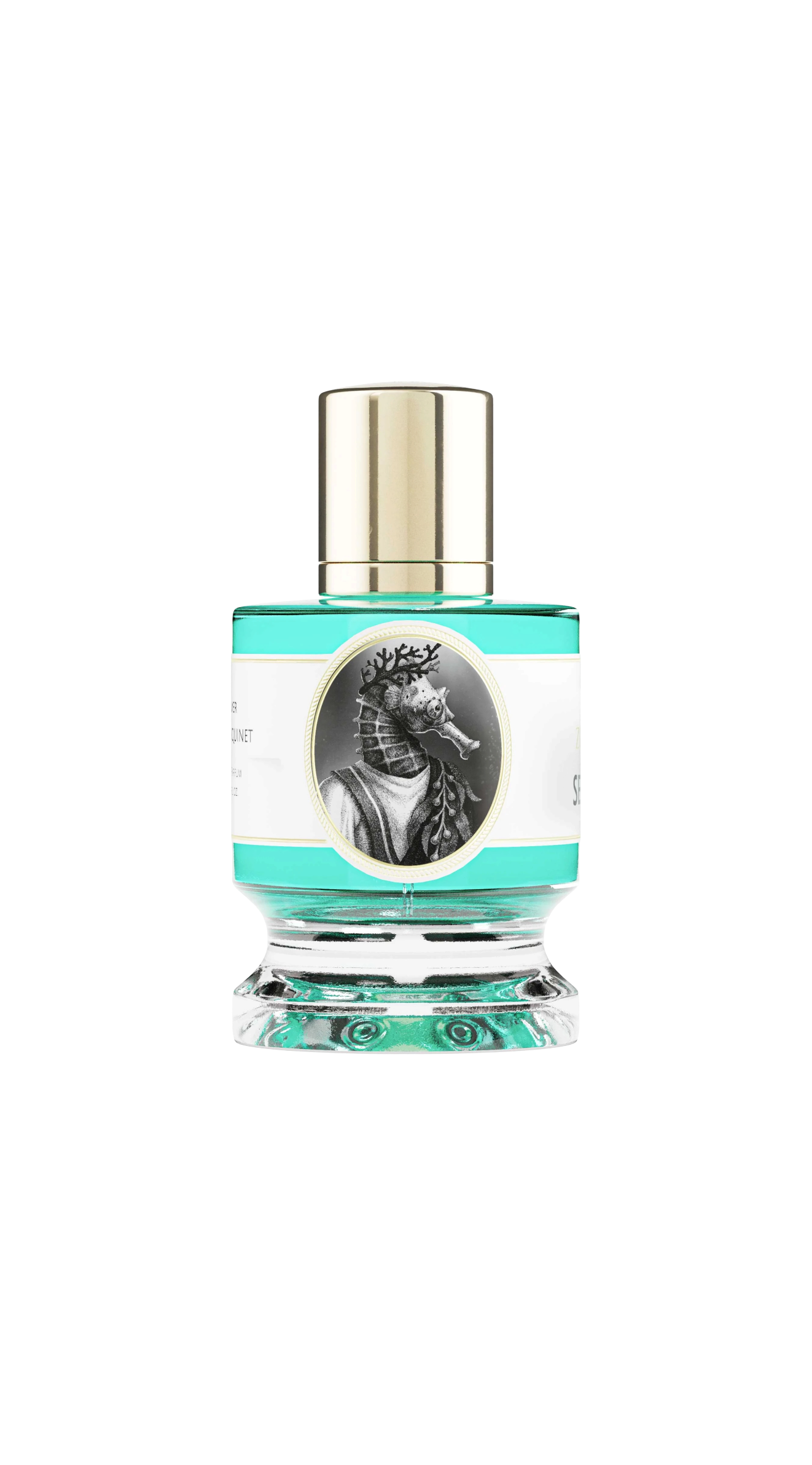 Zoologist - Seahorse